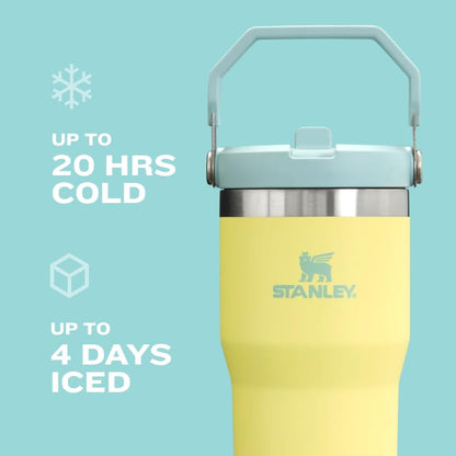 30oz STANLEY Vacuum Insulated Tumbler with Straw