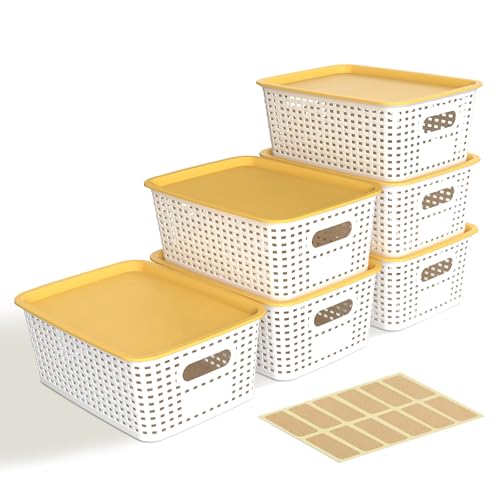 6 Pack Stackable Plastic Storage Bins with Lids