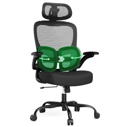 Ergonomic Office Chair with Adjustable Dual Lumbar Support