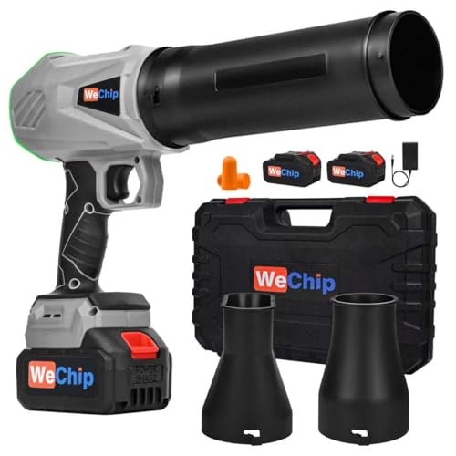 Cordless Leaf Blower with 2 Batteries Handheld