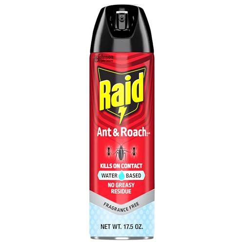 17.5 oz Raid Ant & Roach Killer Spray