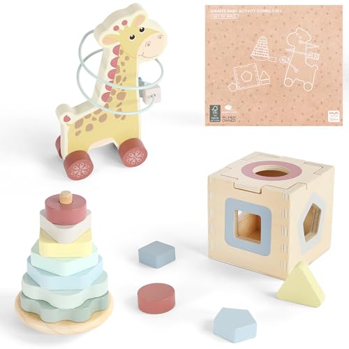 Montessori Wooden Shape Sorting and Stacking Toy