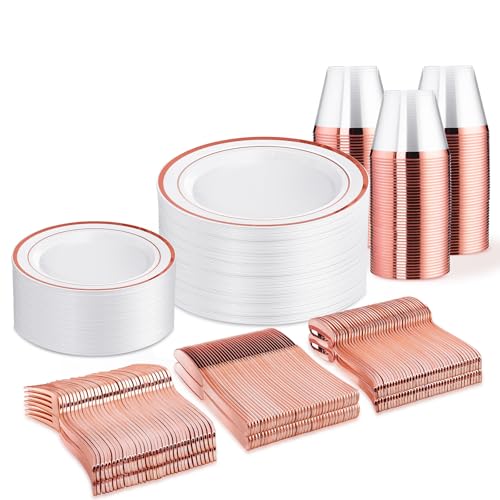 300 Piece Disposable Dinnerware Set for 50 Guests