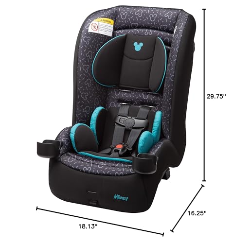 Disney Baby Convertible Car Seat 2-in-1
