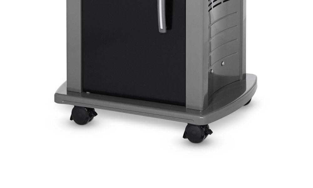 Weber 2-Burner Gas Grill for Outdoor Cooking