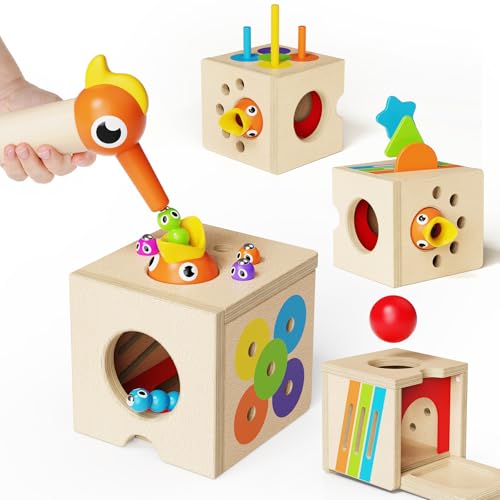 Montessori Wooden 5-in-1 Activity Cube Toy