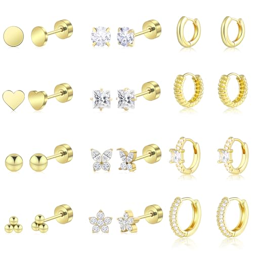 12 Pairs Hypoallergenic Surgical Steel Stud Earrings Set