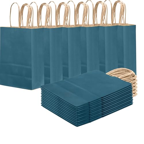 24 Pack Paper Gift Bags with Handles