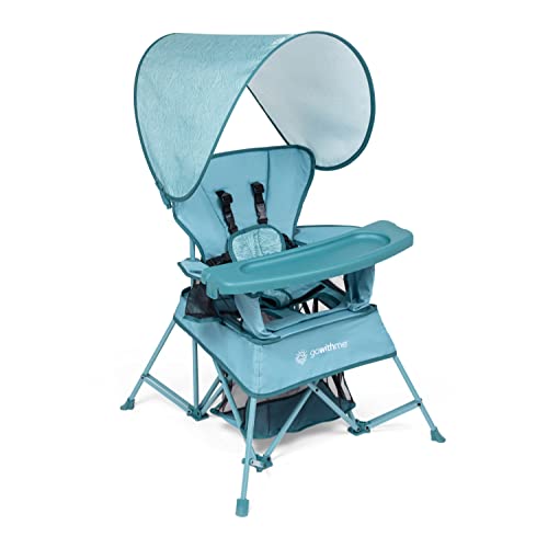 Baby Delight Portable 3-Stage Child Travel Chair