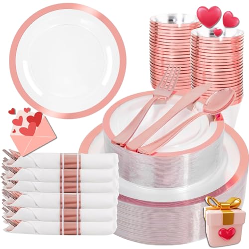 350 Piece Disposable Plastic Dinnerware Set with Silverware