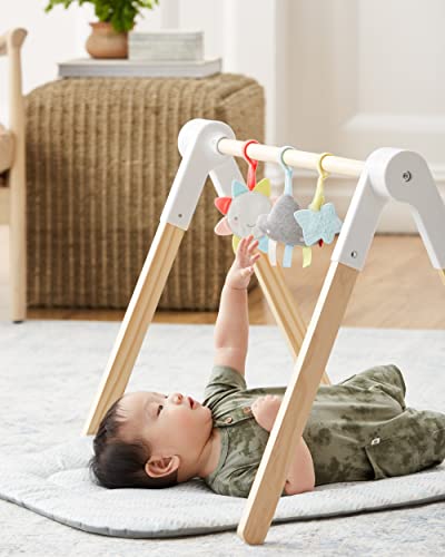 Skip Hop Cloud Activity Baby Gym Play Mat