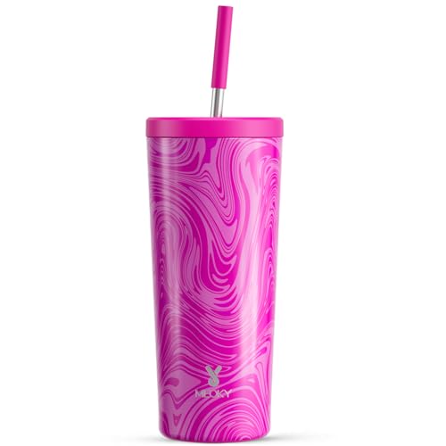 24 oz Insulated Stainless Steel Tumbler with Lid