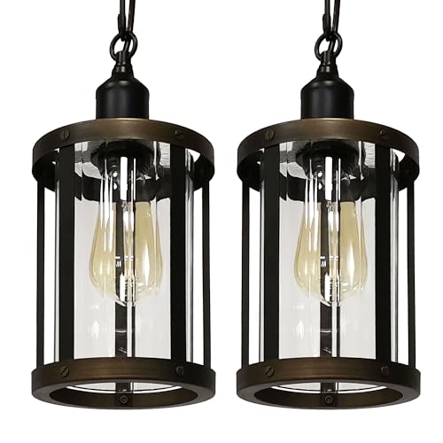 Pendant Light Fixture with Adjustable Chain E26 Socket