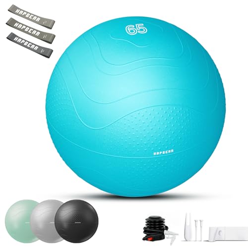 Exercise Ball with Pump and Resistance Bands
