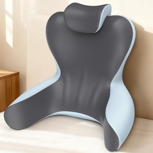 Backrest Reading Pillow with Arms and Lumbar Support