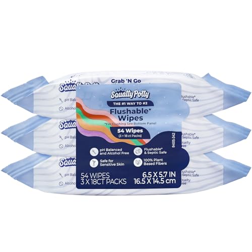 54 Count Flushable Travel Wet Wipes