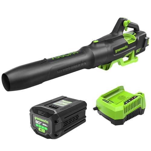 Greenworks 80V Cordless Leaf Blower with Battery Charger