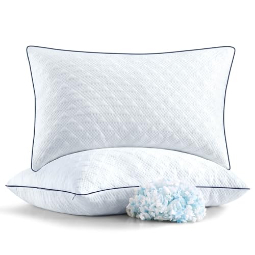 2 Pack Adjustable Shredded Memory Foam Queen Pillows
