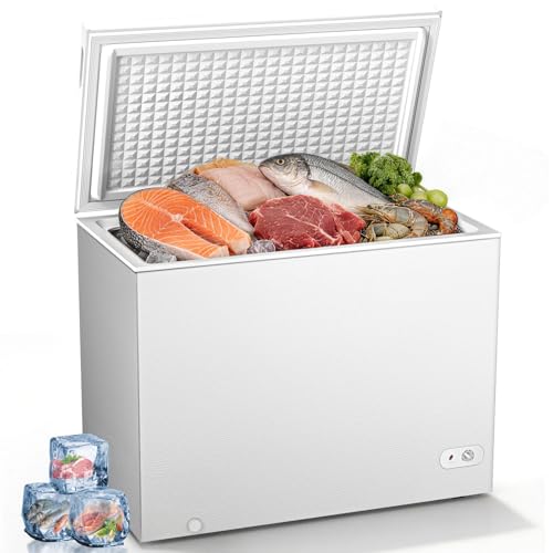 10 Cu Ft Deep Chest Freezer