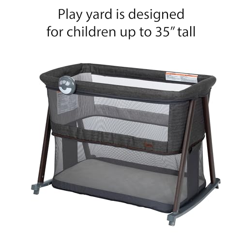 Safety 1st Bassinet & Play Yard, Smoked Pecan