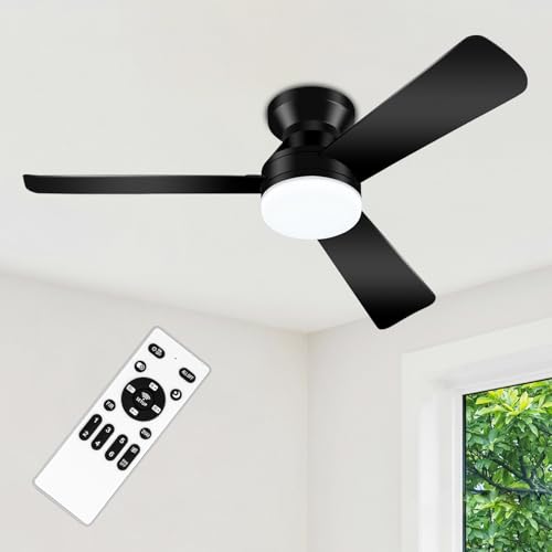 42-Inch Low Profile Ceiling Fan with Light Remote