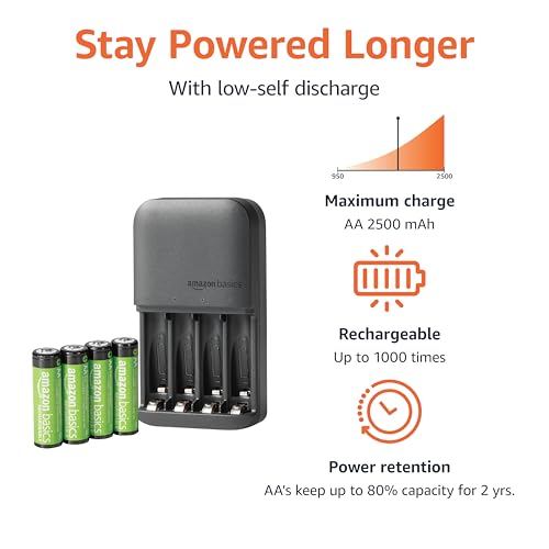 Amazon Basics 4-Bay AA/AAA Battery Charger Set