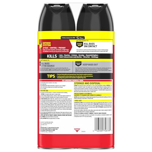 Raid Ant & Roach Killer 2 Count Bug Spray