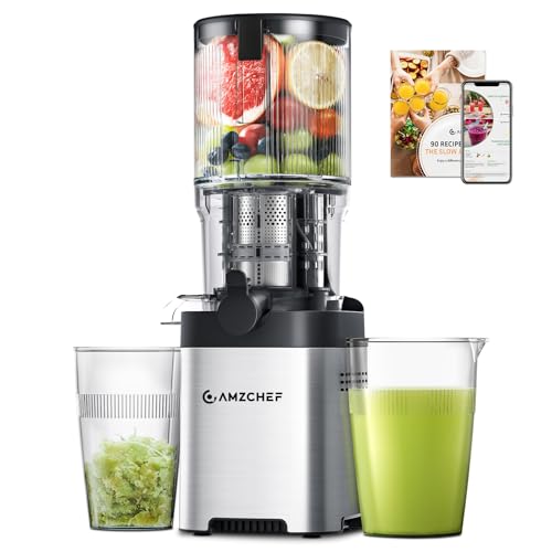 Self-Feeding Cold Press Juicer with Large Auger