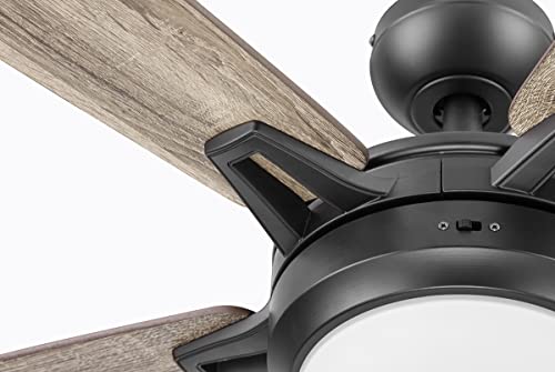 Prominence Home 52" Smart Ceiling Fan with Light