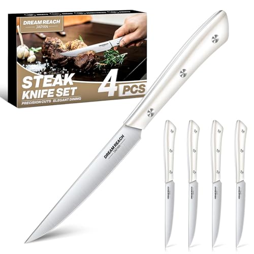 4 Piece Stainless Steel Steak Knife Set