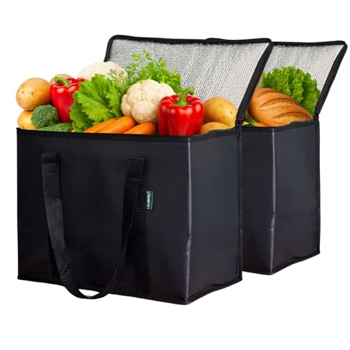 2 Pack Insulated Reusable Grocery Cooler Bags
