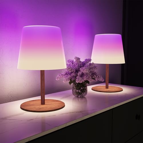 2 Pack Rechargeable Waterproof RGB Shower Lights