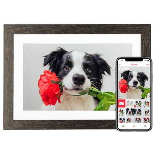 10.1 Inch WiFi Digital Photo Frame