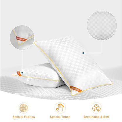 Swandream Queen Pillows Size Set of 2, Soft and Skin Friendly Down Alternative Pillow for Sleeping, Breathable Pillow for Back, Stomach or Side Sleepers, Golden, 20 * 28 Inches