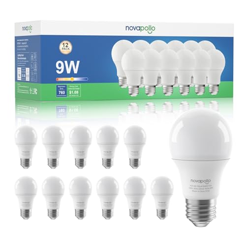 12 Pack A19 60W Equivalent LED Light Bulbs