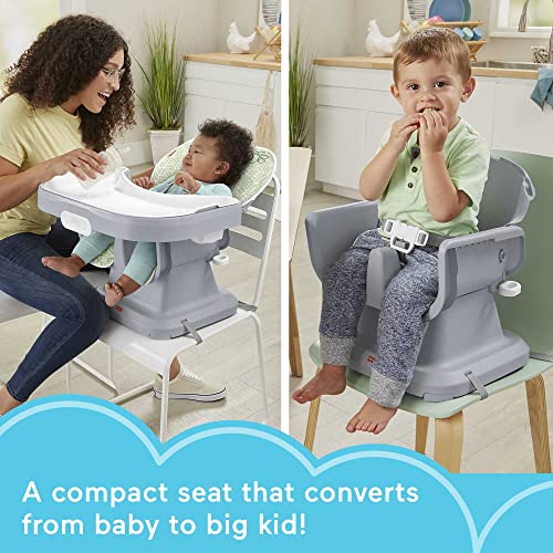 Fisher-Price Baby to Toddler High Chair SpaceSaver Simple Clean Portable Dining Seat & Booster with Washable Deep Tray & Liner, Puppy Perfection