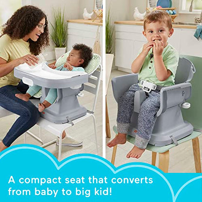 Fisher-Price Baby to Toddler High Chair SpaceSaver Simple Clean Portable Dining Seat & Booster with Washable Deep Tray & Liner, Puppy Perfection