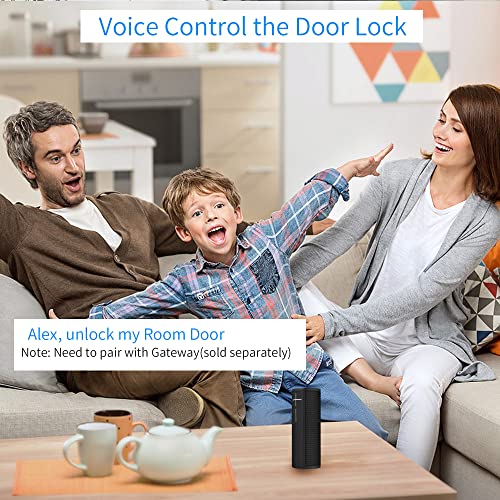 HARFO Fingerprint Keyless Door Lock with Touchscreen