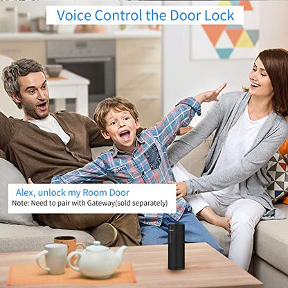 HARFO Fingerprint Keyless Door Lock with Touchscreen