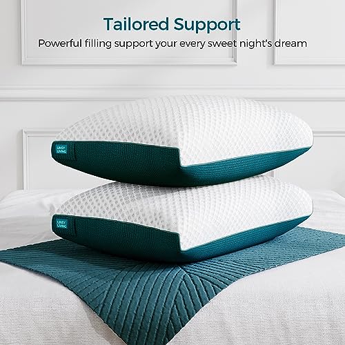 LINSY LIVING Shredded Memory Foam Pillow, Gel Infused Pillow with Tencel™ Washable Cover, Adjustable Firm Bed Pillows for Back, Stomach, Side Sleepers, CertiPUR-US & Oeko-TEX Certified, Queen