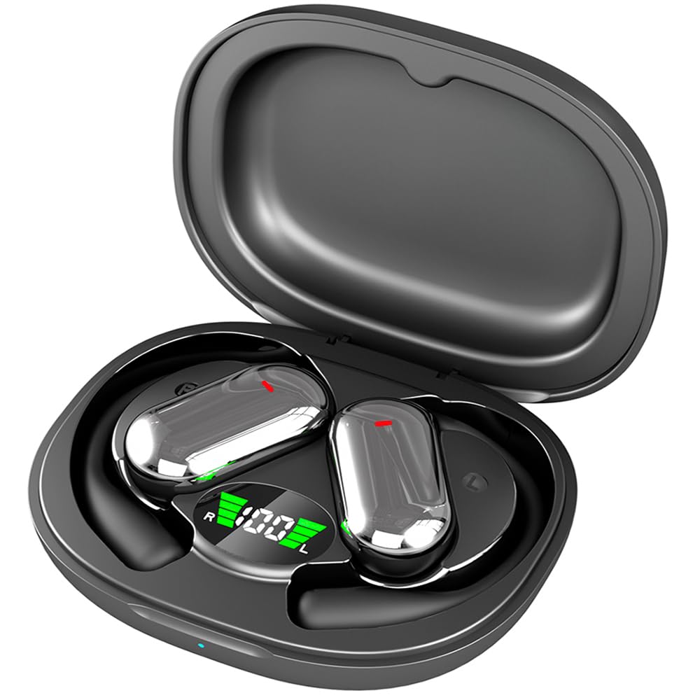 Real-Time Translator Earbuds for Travel & Learning