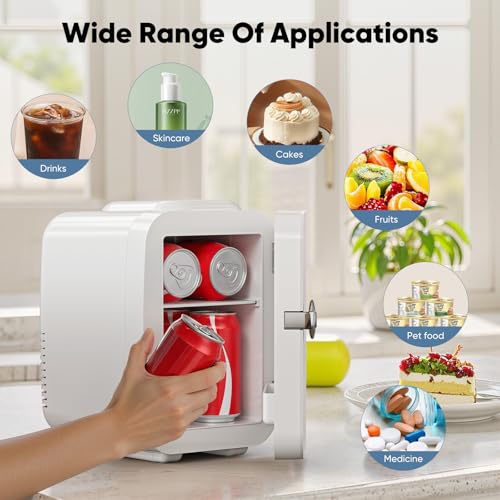 4L Mini Fridge Cooler & Warmer by DUMOS