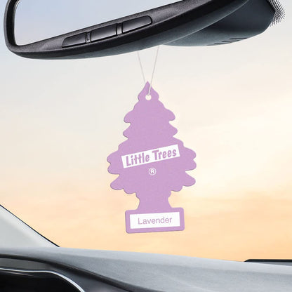 LITTLE TREES Lavender Car Air Fresheners - 24 Pack
