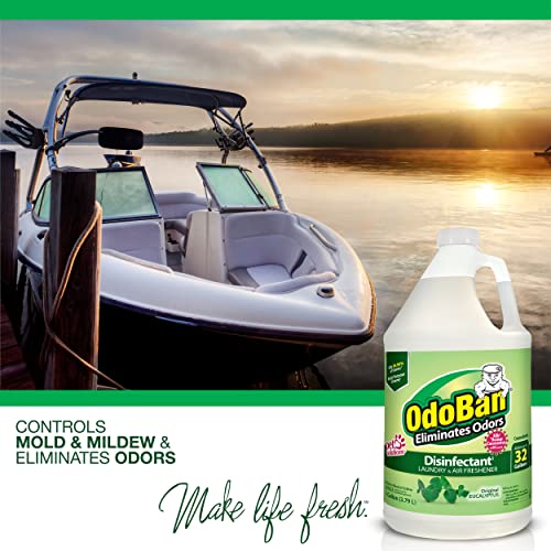 OdoBan Disinfectant Concentrate, Eucalyptus Scent