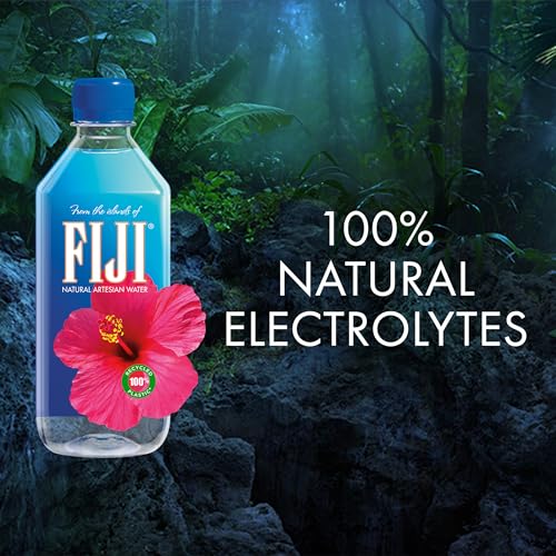 FIJI Natural Artesian Water 500mL Pack of 24