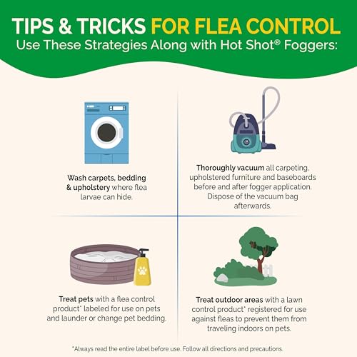 Hot Shot Fogger Kills Roaches, Ants, Fleas