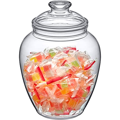 140 Ounce Plastic Candy and Cookie Jar with Lid