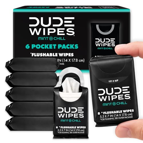 48 Count DUDE Wipes Flushable Travel Wipes
