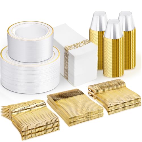700 Piece Disposable Dinnerware Set for 100 Guests