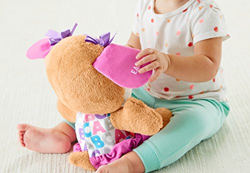 Fisher-Price Laugh & Learn Plush Musical Toy